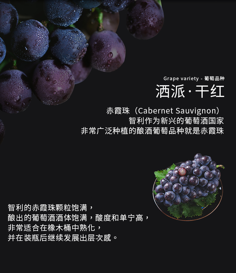 洒派干红切片_04.jpg
